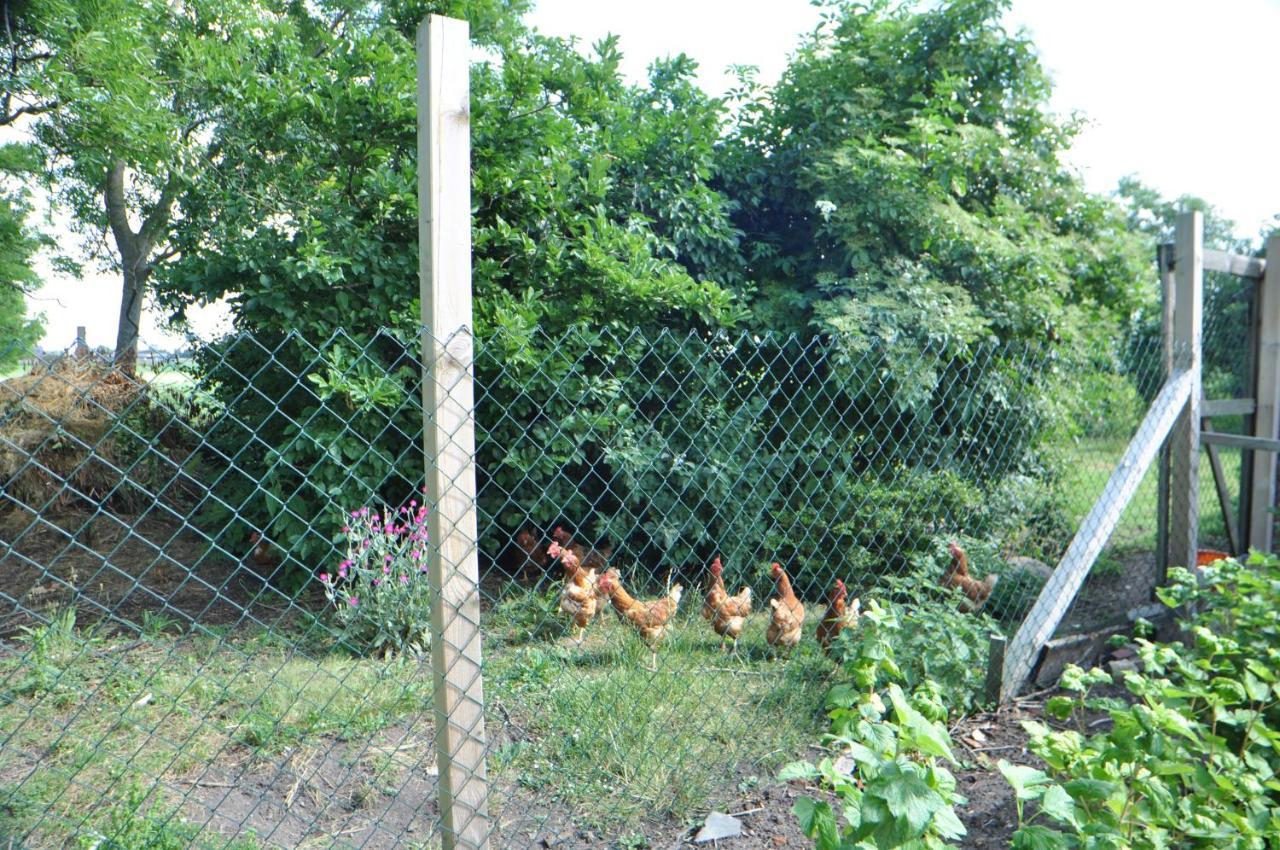 Ferienwohnung Landliebe 65347 Moormerland 外观 照片