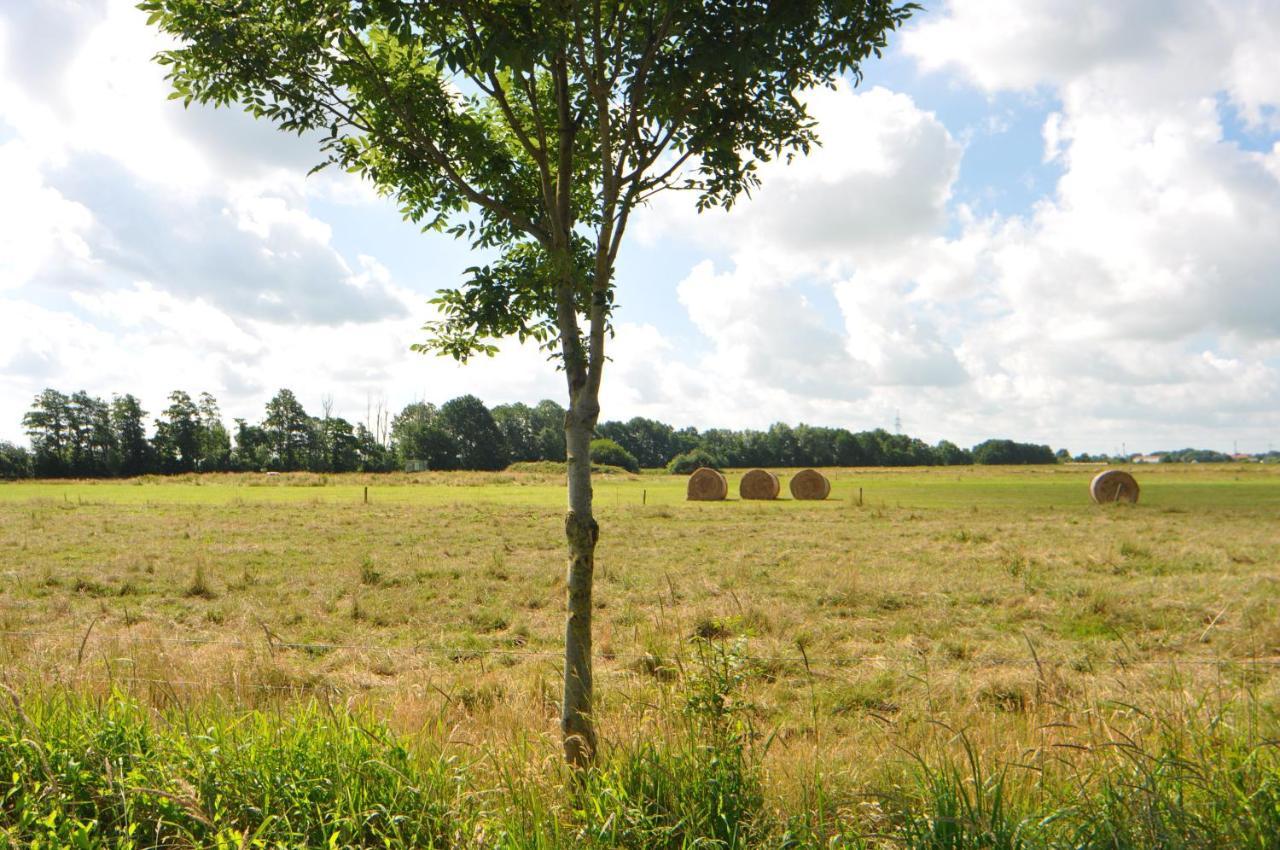 Ferienwohnung Landliebe 65347 Moormerland 外观 照片